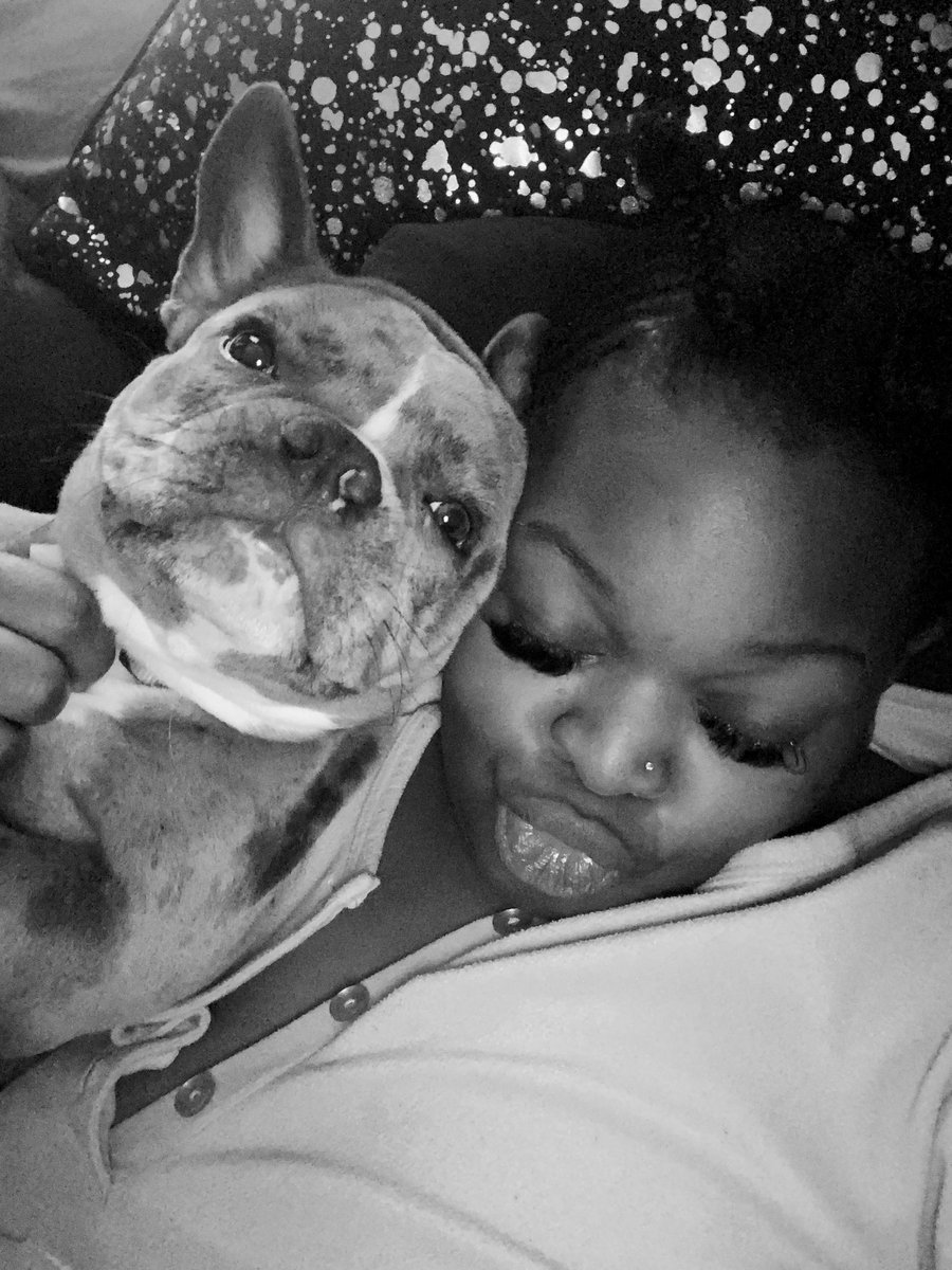 goodgirlpri's tweet photo. They shouldn’t have let me get a dog I never leave the house now😂 we go together so damn bad😂 #pocketpit #minibully 🤍 #minipitbull 😘 https://t.co/Xo6YqRp3yg