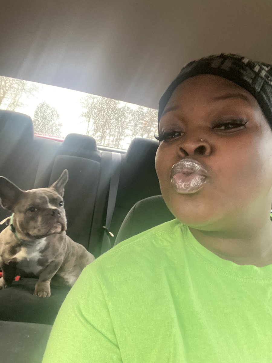 goodgirlpri's tweet photo. They shouldn’t have let me get a dog I never leave the house now😂 we go together so damn bad😂 #pocketpit #minibully 🤍 #minipitbull 😘 https://t.co/Xo6YqRp3yg