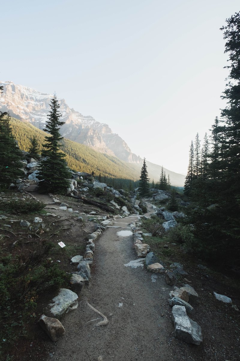 ChaseBurnett's tweet photo. Canada pt. III. https://t.co/d6S8G3Irz0
