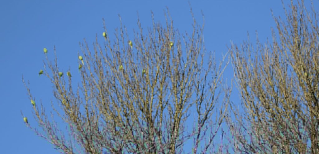 Ashley Banwell tweet media