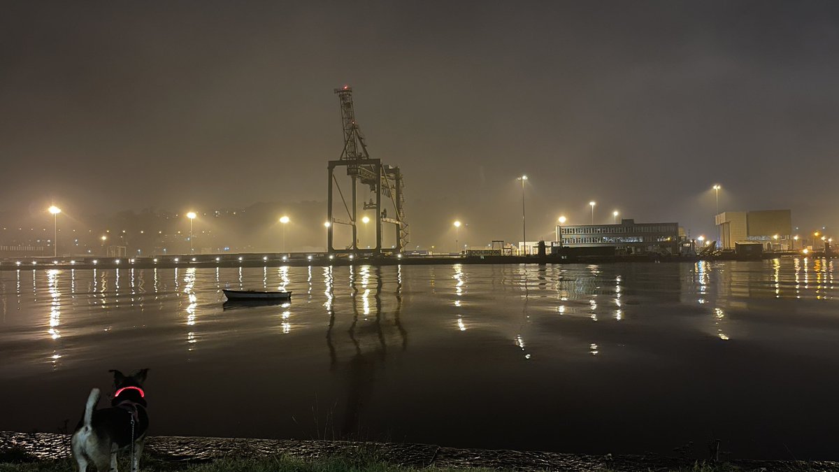 Dave Johnston 🚶🦮📸 tweet media