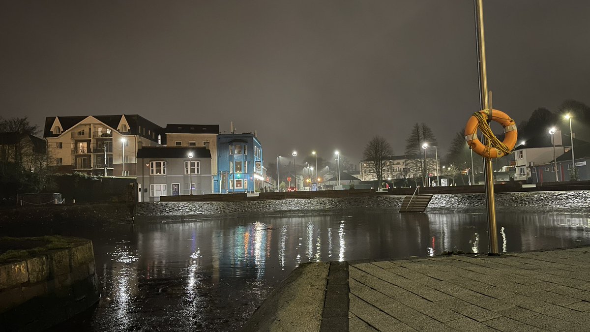 Dave Johnston 🚶🦮📸 tweet media