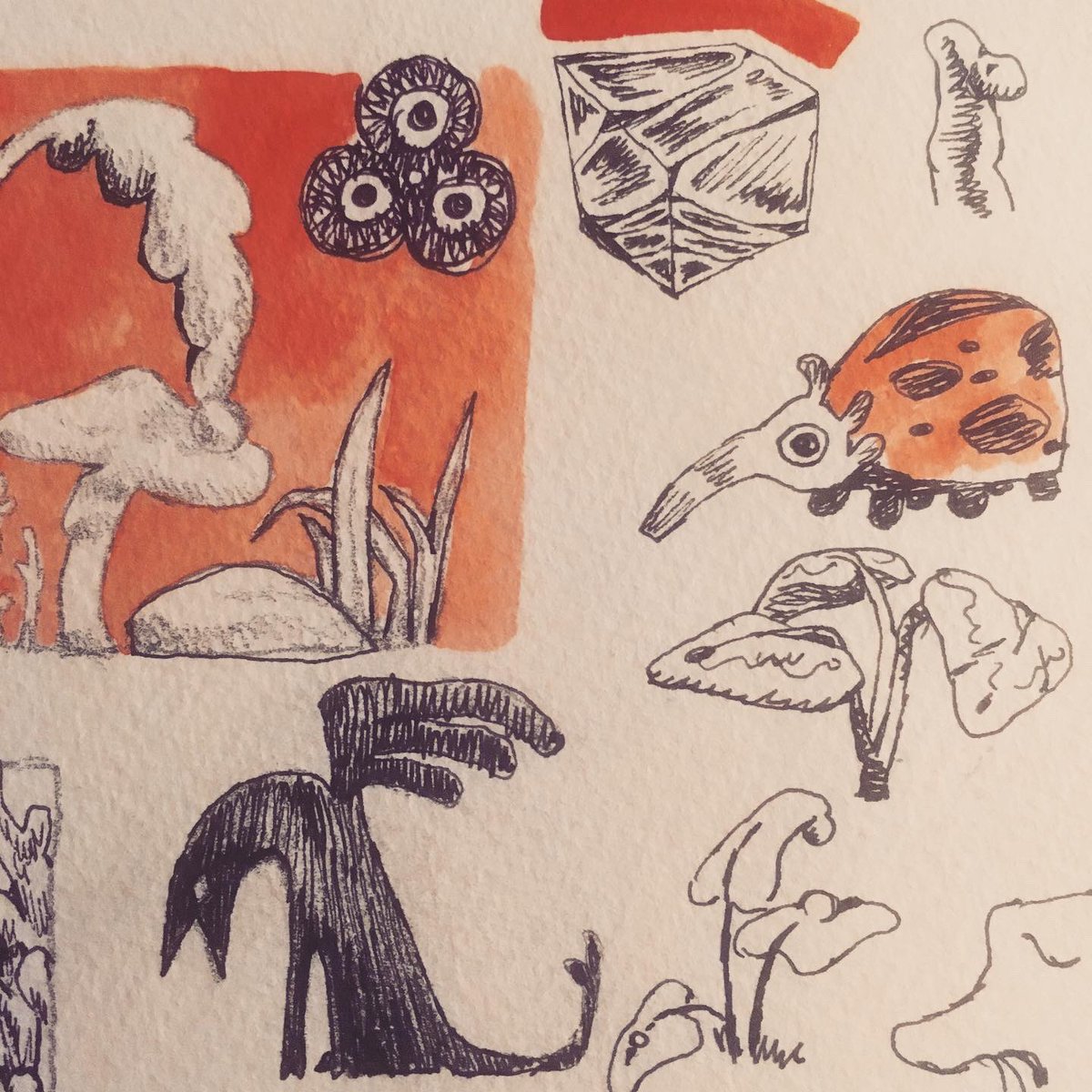 tallsoren's tweet photo. 🍄 https://t.co/NcvuOzM8lA