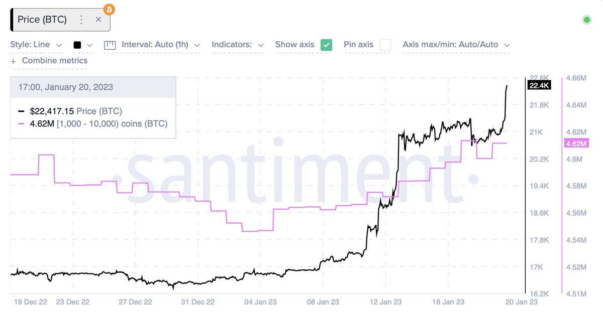 Bitcoinhvaler