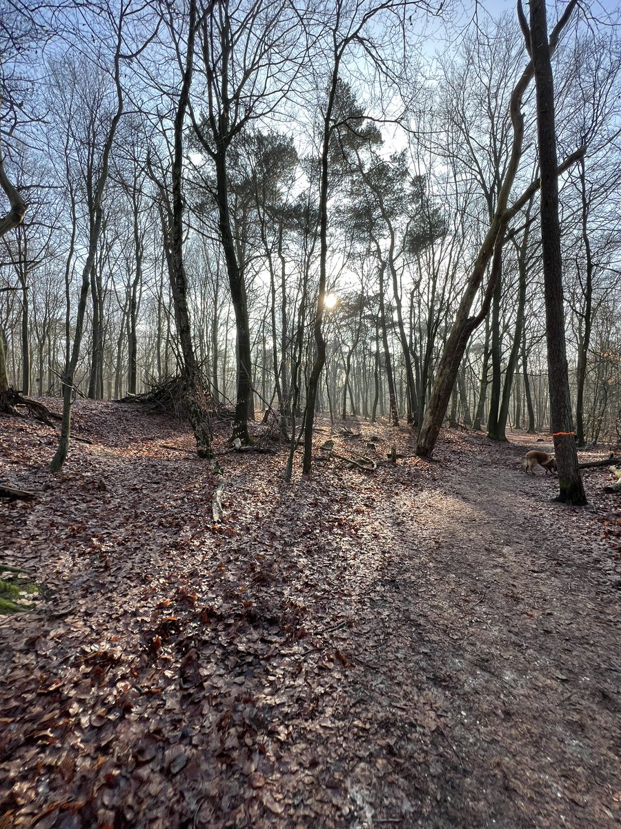 EppingGreen's tweet photo. Nothing is better than being out in nature. https://t.co/OjTmClFESA