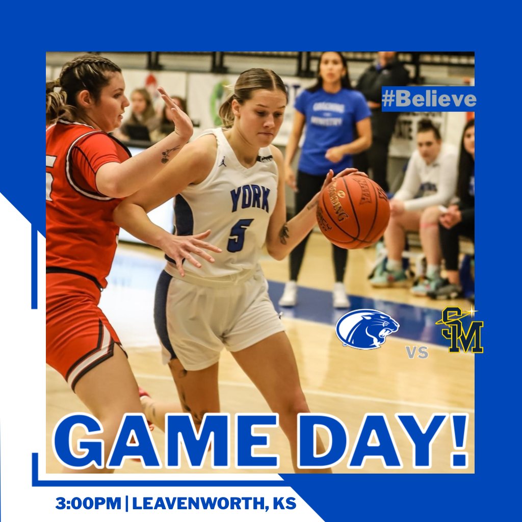 York University WBB tweet media