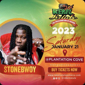 Aduseiphranciz's tweet photo. Bhim nation president @stonebwoy performing live and colored at @jamaica #bhimakoregaon #onegad https://t.co/M3V1xIzDy3