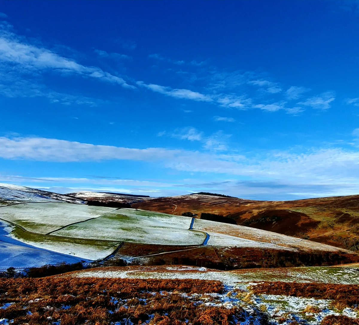blonde_on_bikes's tweet photo. Walked 9.5 miles over #Williamhope to 3B and #Yair @Sedgeburn
Enjoyed some hot soup 🥣🥖 on the #SUW with some amazing views over the valleys☀️❄️
#ThreeBrethren #tweedvalley #yarrowvalley #scottishborders
#snowyhills #tweedvalleyforest
#lunchwithaview https://t.co/PXm0XjmyvQ