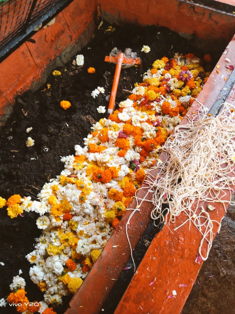 ProEarth Zero Waste tweet media