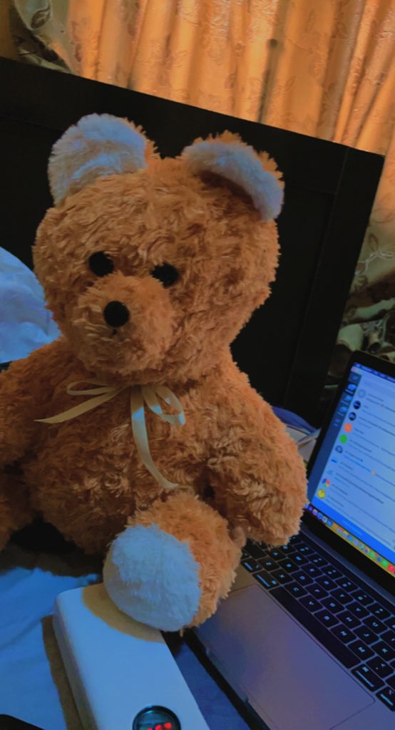 Teddy Labs 🧸 tweet media
