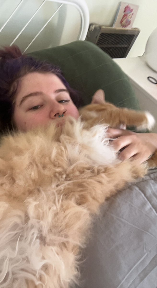 womblelive's tweet photo. @neimki this is Ender! Hope you get to feeling better <3 https://t.co/syMoCp2aAI