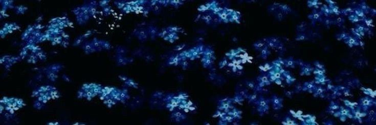 Лис из зазеркалья tweet media