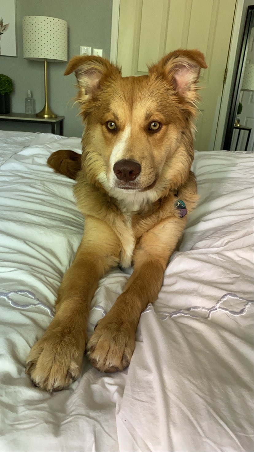 Steph in Space (0.52% OF//0.2% FANSLY) on Twitter: "@RockyEmersonXXX