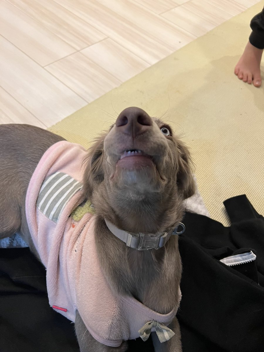 本日はいっそう巻き込みが激しいようで( ･ᴗ･ )