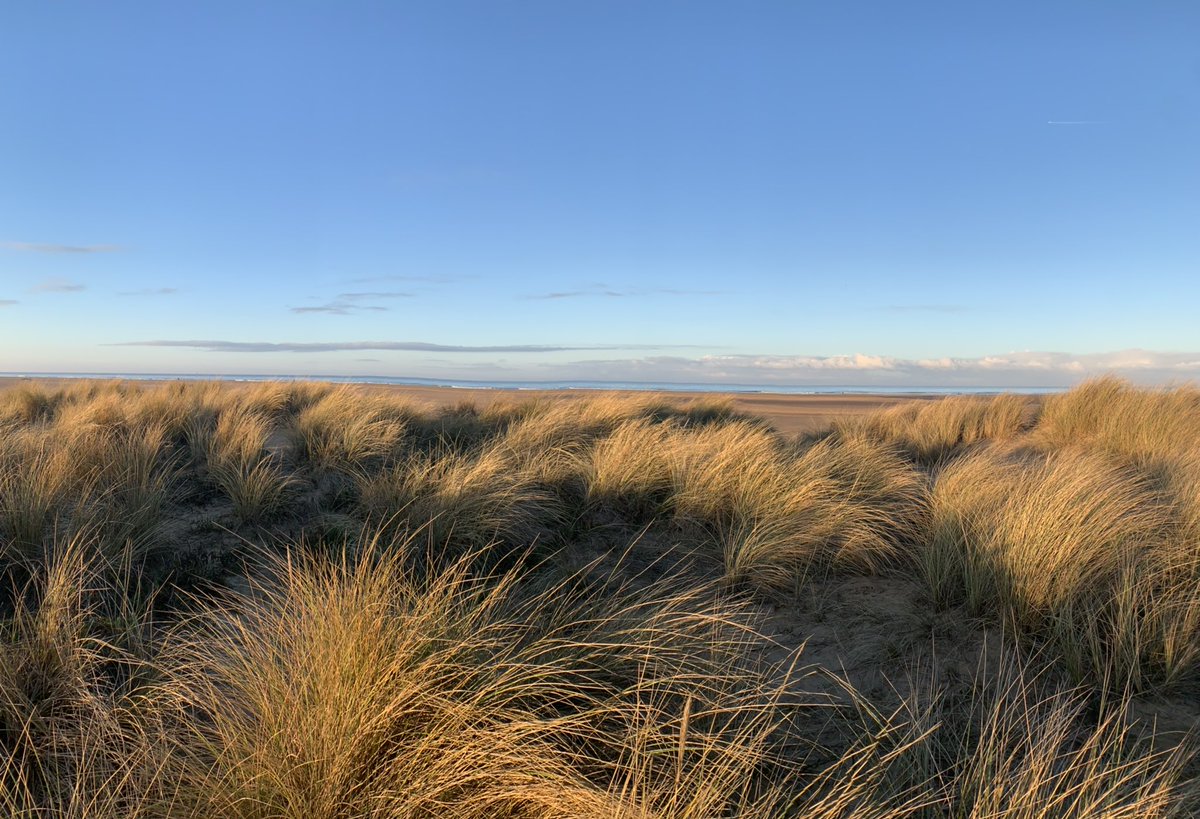 Jenny Donelan tweet media