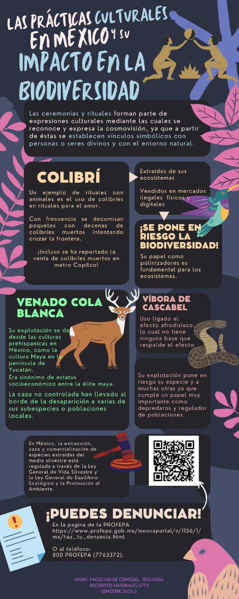 marcovig_il's tweet photo. Algunas de las creencias y prácticas culturales en México afectan directamente a muchas especies animales, ya que son asesinadas o mutiladas en prácticas como la brujería… 1/4 https://t.co/Zb5EOtHILA