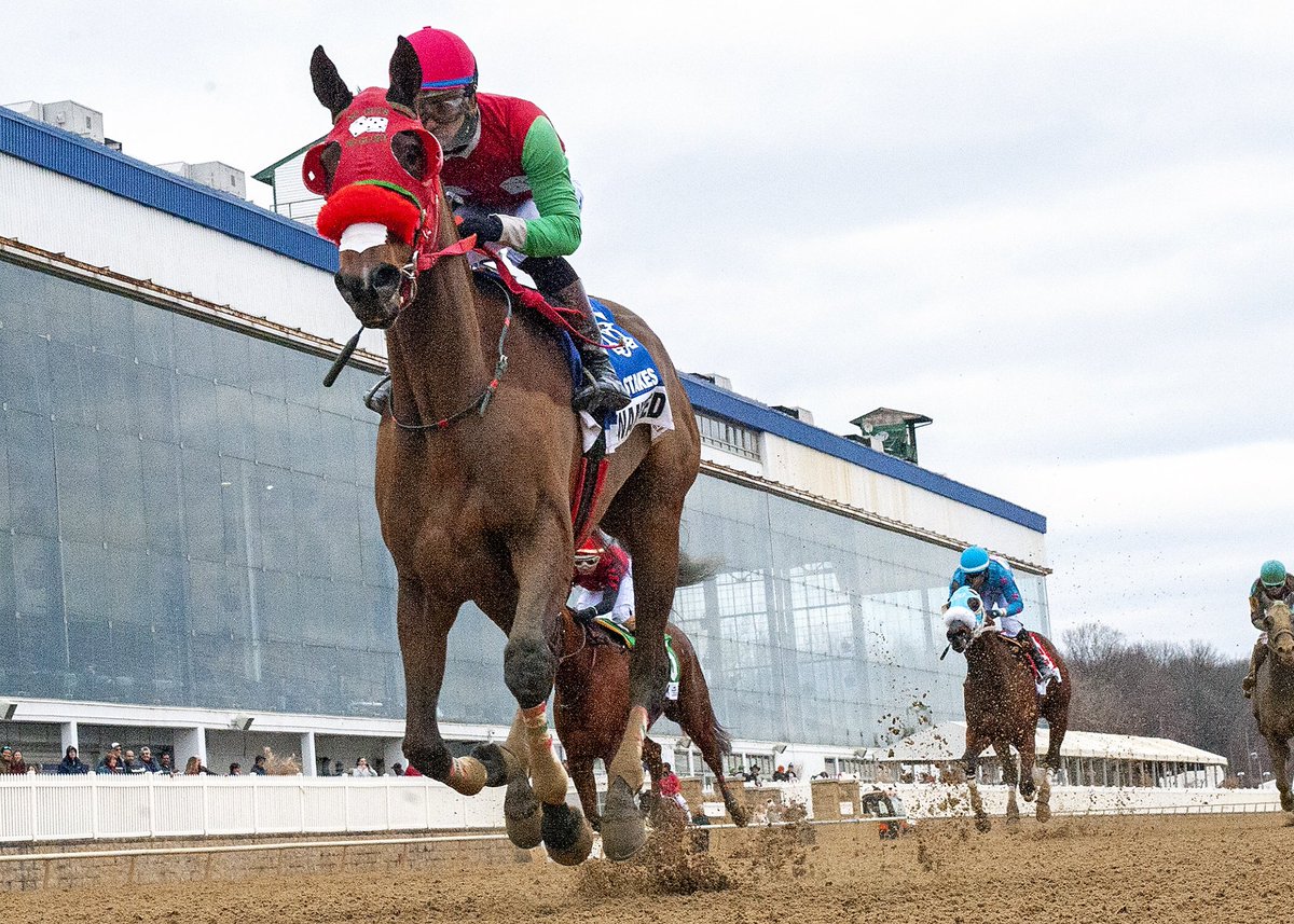 Maryland Horsemen tweet media