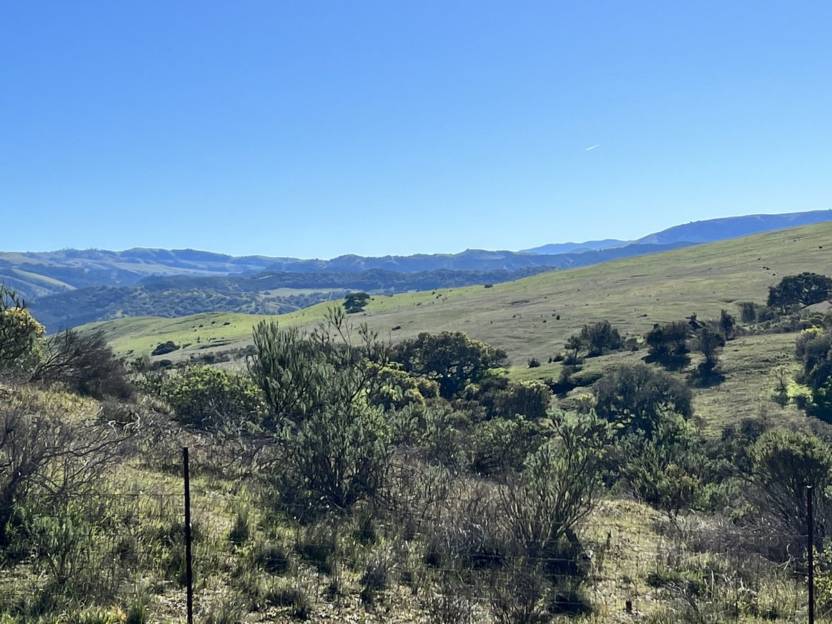 rgporras's tweet photo. Glorious day out at Fort Ord today. After the rains come sunshine. Keep the rubber side down everyone.😁 https://t.co/P3CoQHL9Ro