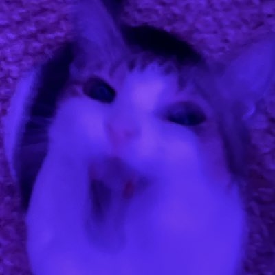 mswagravess's tweet photo. #NewProfilePic https://t.co/c5cZk4StVw