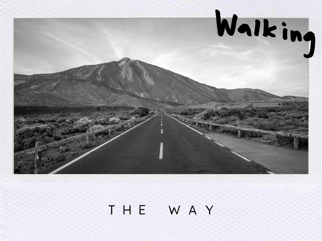 Springcreek Church tweet media