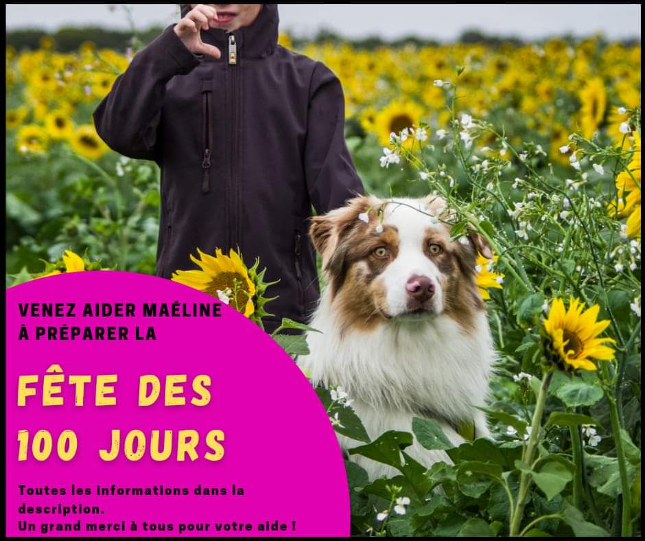 Phot_Aurelien tweet media