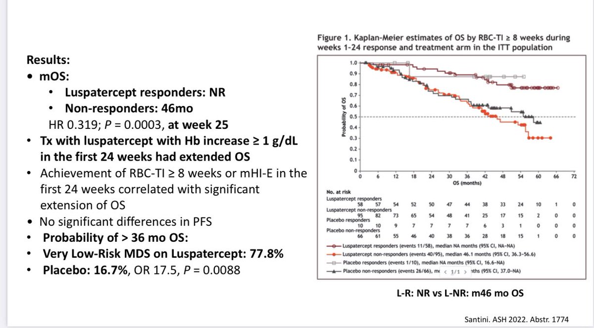Abdallah81MD's tweet photo. Luspatercept:No significant differences in PFS
Probability of > 36 mo OS:
Very Low-Risk MDS on Luspatercept: 77.8% vs Placebo: 16.7%, OR 17.5, P = 0.0088
#KuASHreview #MDS #USMIRC #medtwitter #MedEd @KUcancercenter https://t.co/IAXFZYu2EN