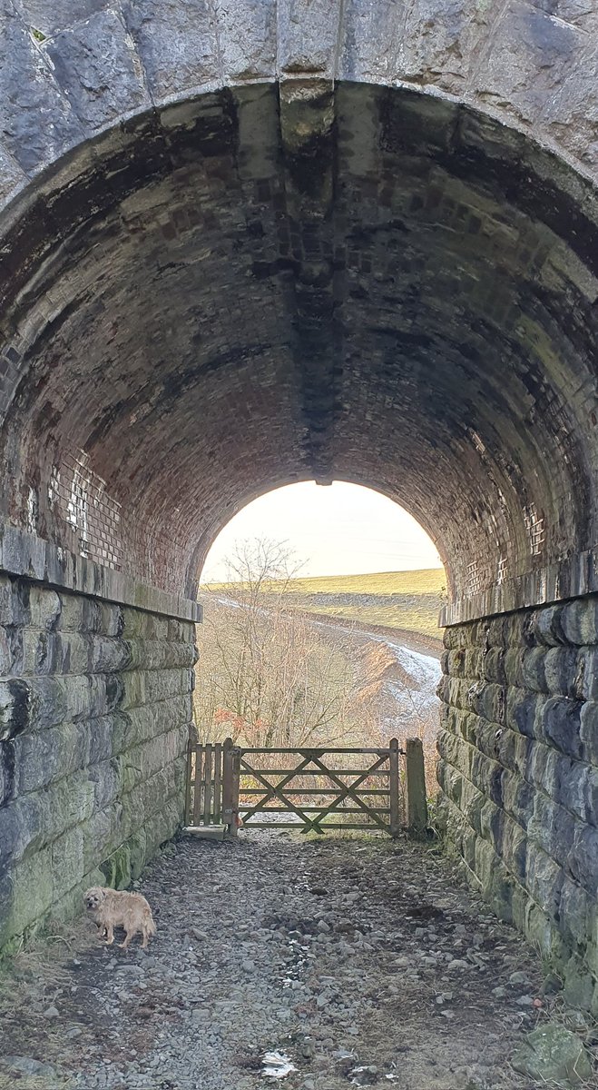 sufishsu's tweet photo. @LakesStiles @LordOrk @Soapy_Wit_Tank @tismenic70 @tutty352 @ceadela @WindowsLake @LansdellMum @ProjectWHYUK @RuthRendell1 @CharlesBewley2 @Yeti98_ #nicegate from this afternoon's wander far side of the tracks https://t.co/fXEQo3xVGL
