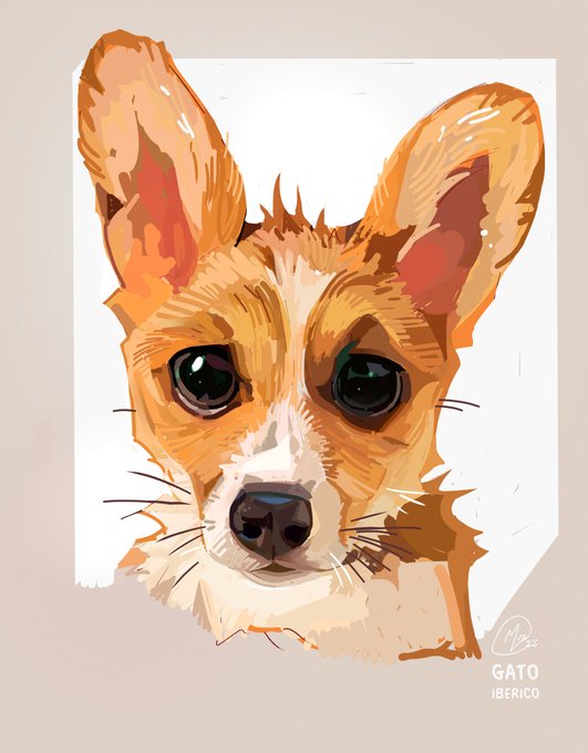 「corgi」のTwitter画像/イラスト(新着))