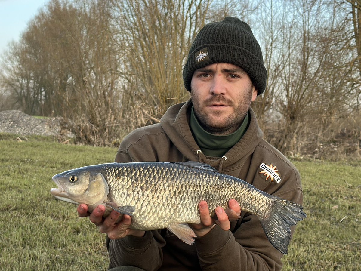 HMattym's tweet photo. Just this little beauty today on spicy shrimp and prawns 15mm boilies well happy. Had more bite through the day but nothing 🤦♂️😀 all way next week #dynamitebait #dynamitebaits #dynamitebaitsfishing #dynamitebaitsoffical #korum #riverchubb #riverchubfishing #chubfishing https://t.co/kXufpKjm0n
