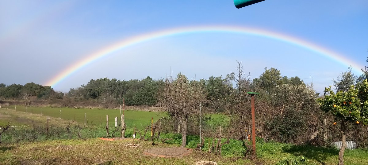 JaneGre31530250's tweet photo. Beautiful Central Portugal 🇵🇹 https://t.co/qeXs10dtsj