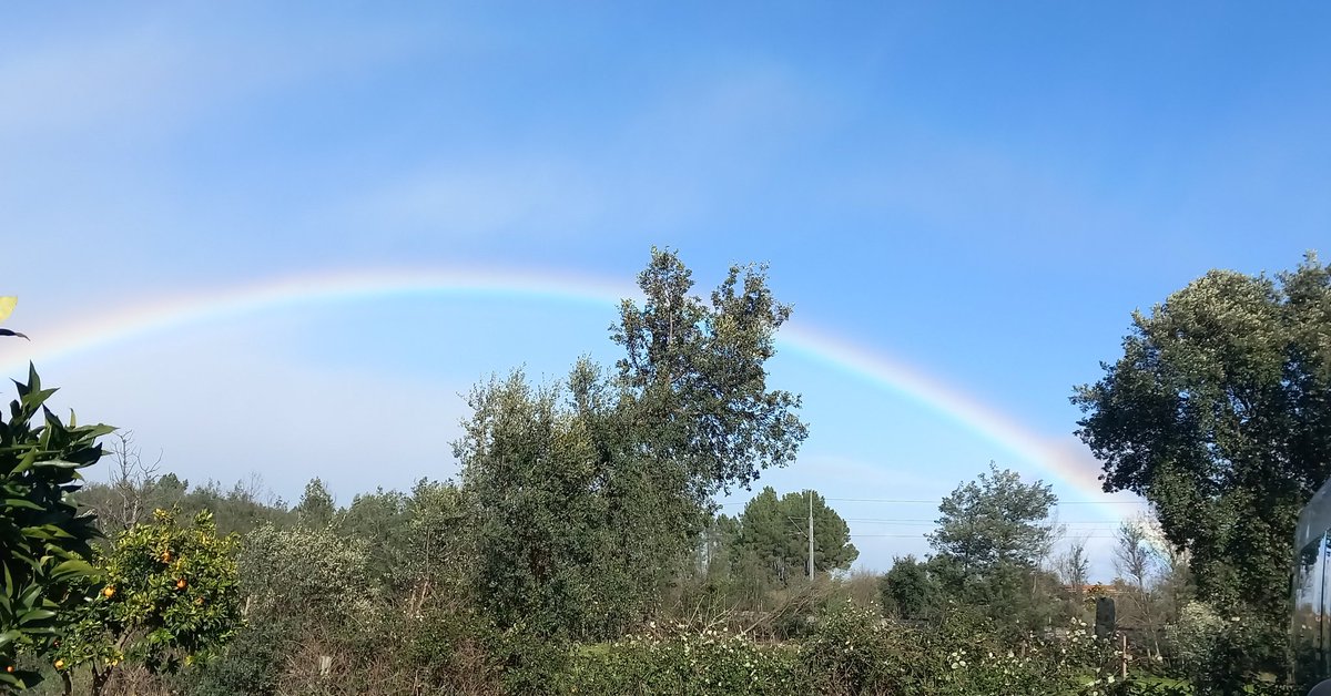 JaneGre31530250's tweet photo. Beautiful Central Portugal 🇵🇹 https://t.co/qeXs10dtsj