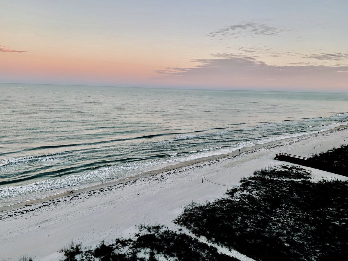 BoltenMarjorie's tweet photo. @charliebird49 A little bit of beach and warm Florida sun ☀️ to make you smile .  I’m missing my Dalkey but I’ll be home soon. 🙏🥰 https://t.co/Zss8zAastU