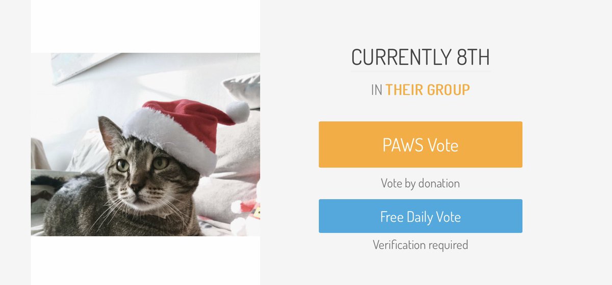 NagoreDesigns's tweet photo. If everyone can vote for my poki in this it would be appreciated! You get 1 free Facebook vote everyday.

https://t.co/nzYb834ZpF

#cat #americasfavoritepet #Caturday #CatStar #CatsOfTwitter https://t.co/3yQsUbdySw