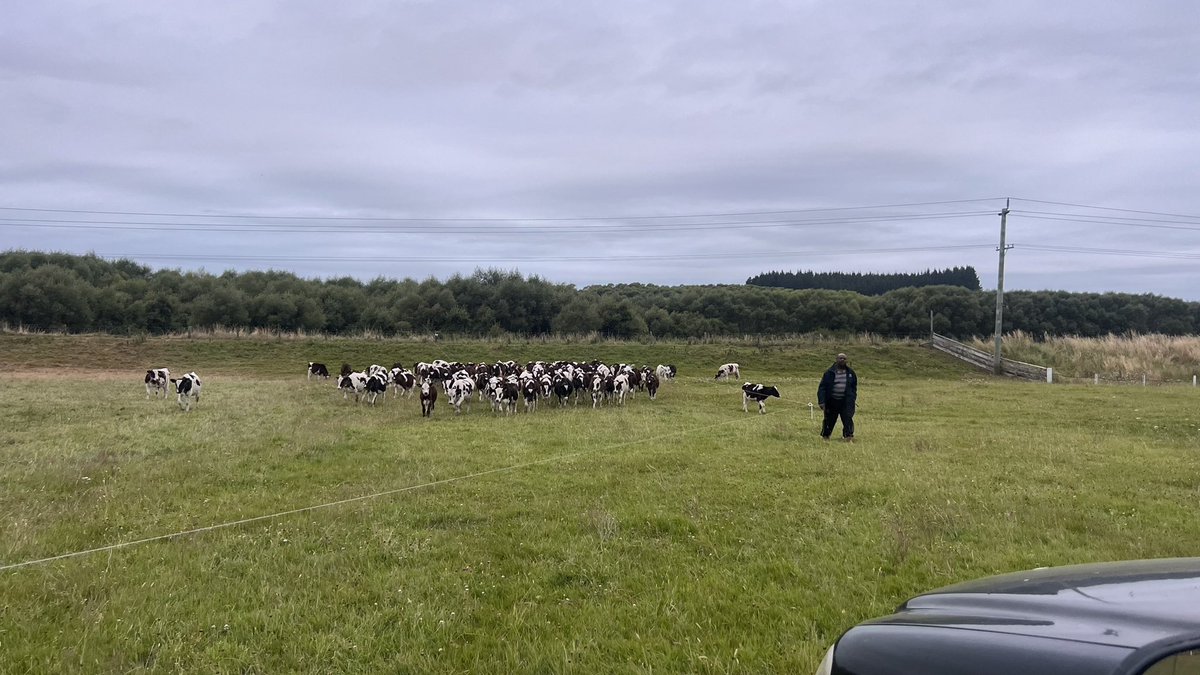 9.21pm. I'll just give them a quick shift, they're my babies  <a href="/Edwinmab1/">Edwin Mabonga 🧢</a> nothing changes 🤣