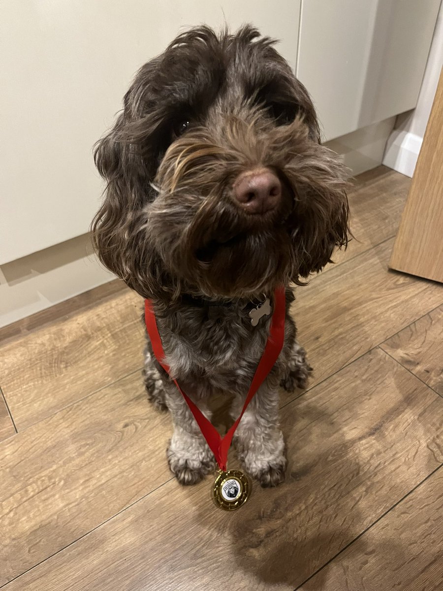 How our Saturday nights have changed with the wife 😍🤣making football medals 🥇 with help of course and 2000 treats later 😬🙈😂