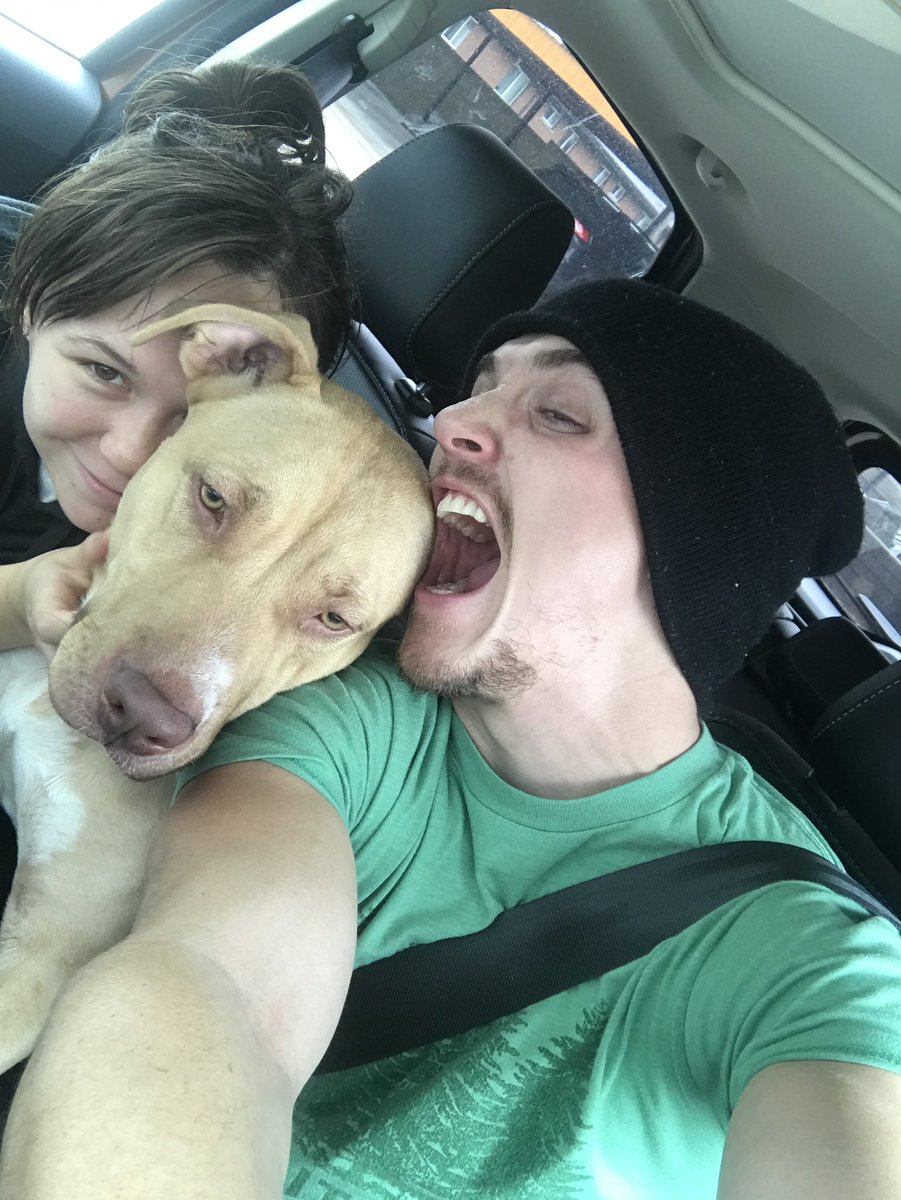 KyleGallner's tweet image. Green arrow? I shoot, can grow the stache, I cook chili often, i wear a lot of green in my personal life and I’m easy to work with…a little extra prep time in the gym and some blonde hair dye…. Let’s get nuts. @JamesGunn #greenarrow #DCU