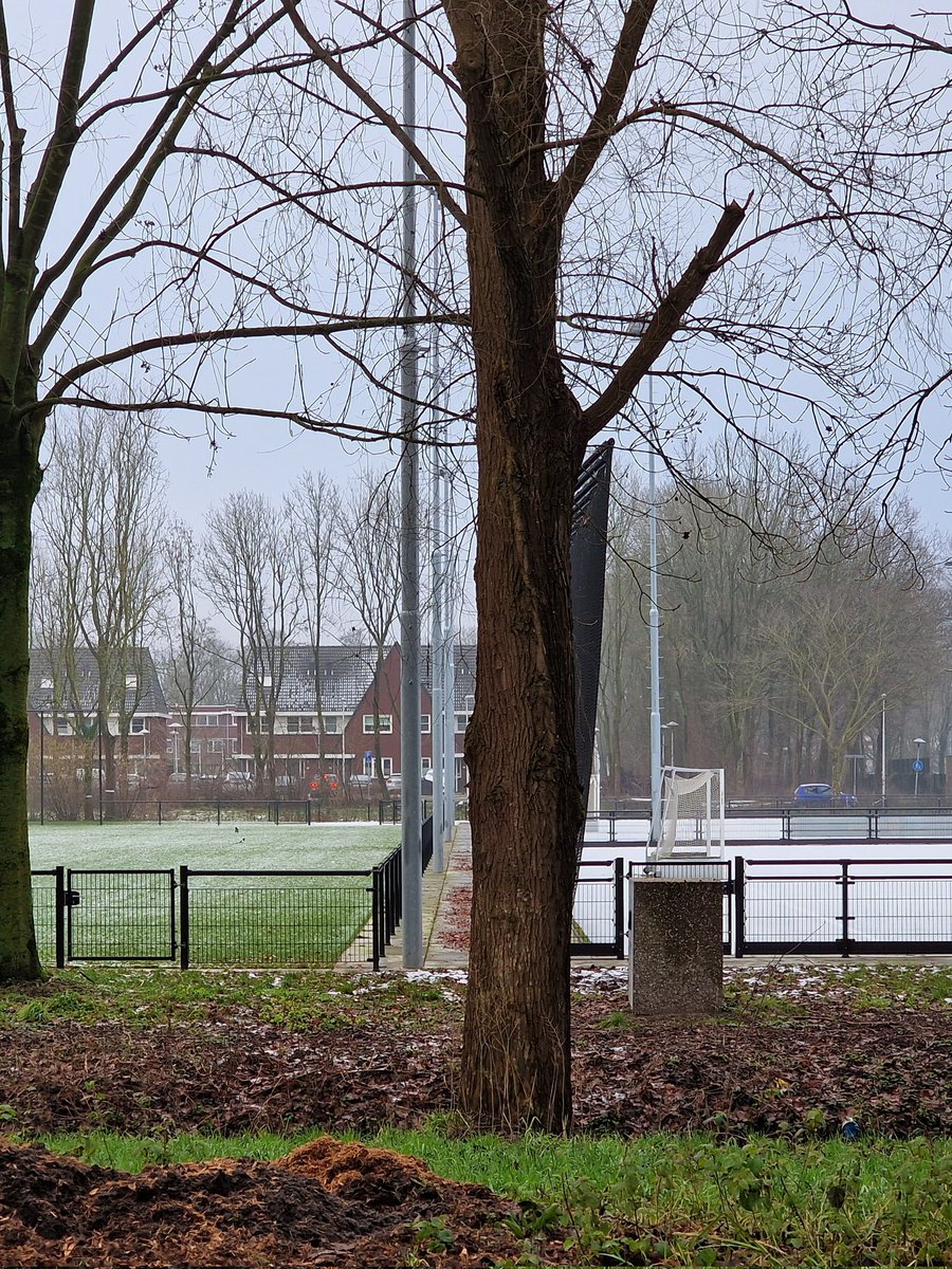 Leven is warmte: links gras, rechts kunstgras.