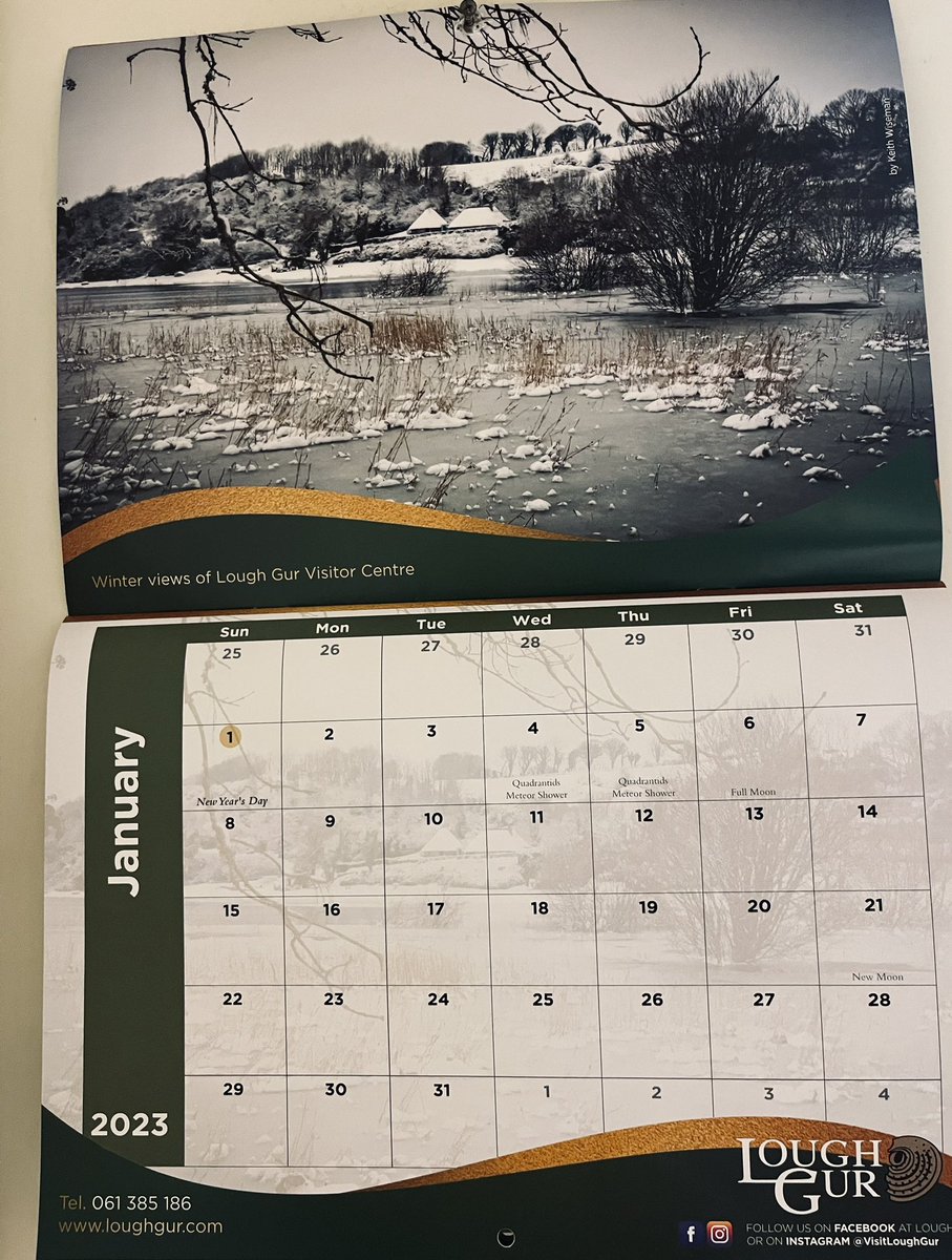 Limerick Ryan tweet media