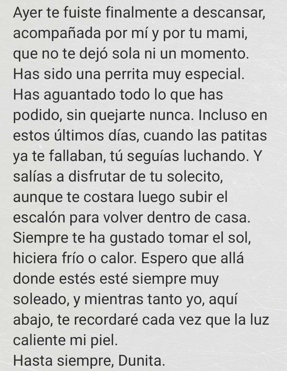 🌌 Ἠώς 🌌 tweet media