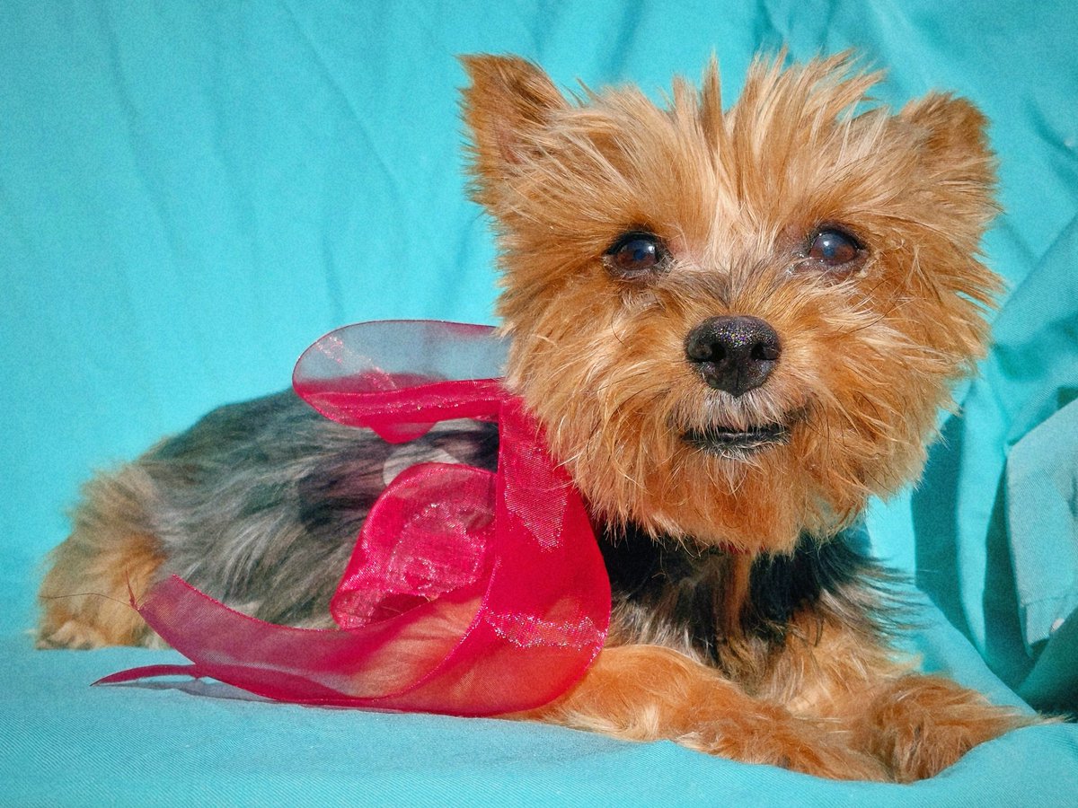 🌌 Ἠώς 🌌 tweet media