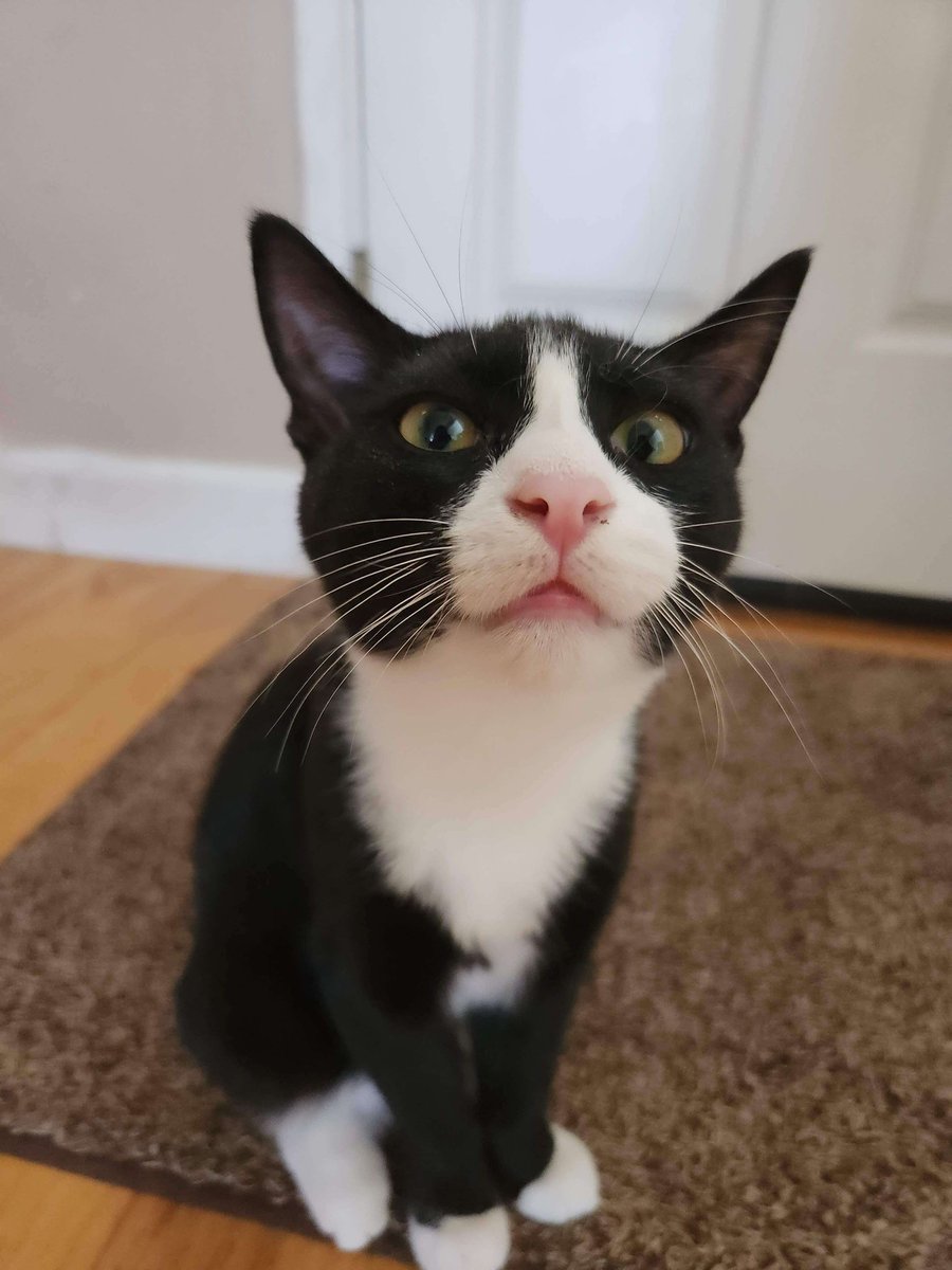 Hum bimbly tweet media