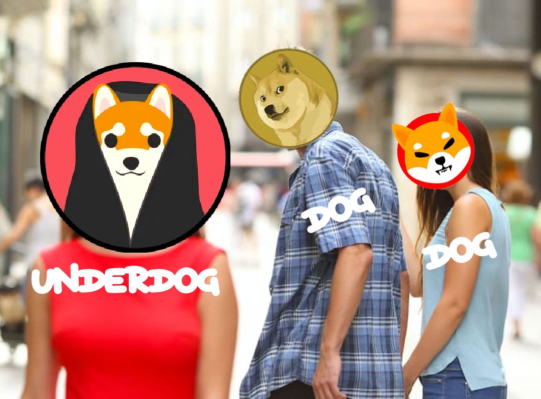 ShibaPoCONK's tweet photo. The new dog in town!
I have 1000x reasons why my $CONK is better than your current DOG
Buy now:
https://t.co/5ejmOmyRVT
#x100GEM #x1000 #FTMGems #cryptocurrency #memecoin #ToTheMoon #FTM #Bluechip #altcoin https://t.co/Ul12ylHAjy