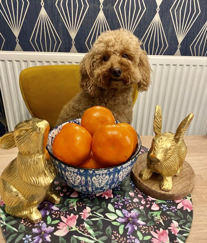 Happy Lunar New Year❤️