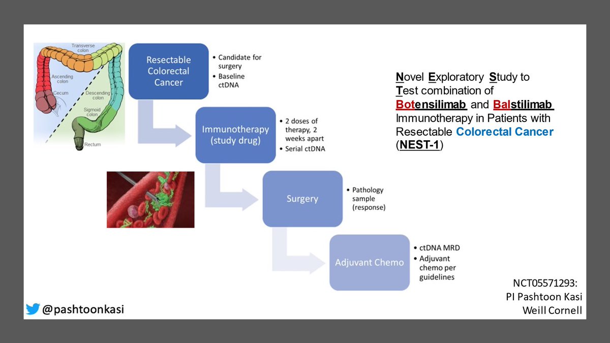 pashtoonkasi's tweet photo. @RenoHemonc @OncLive @ASCO @MayoCancerCare @OncoAlert @NRGonc @TGeorgeMD @RenoHemonc your wish is my command. 🧞
My investigator initiated trial got IRB approved this week! @ASCO #GI23
Here’s us building on the exciting data on #immunotherapy (with #BOTBAL) in the neoadjuvant space for #colorectalcancer.
#CRCSM #ctDNA🩸🧬
https://t.co/lIBkAeoHR2 https://t.co/3l8GP5jk7a