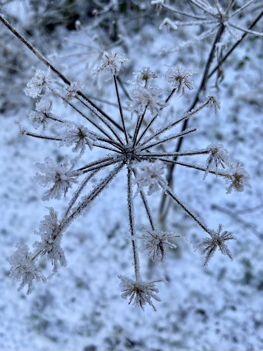 Morning walks on the doorstep, Snow and sun...