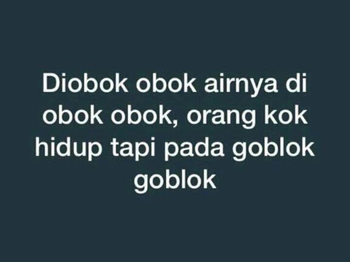gattaputra's tweet photo. Nuch https://t.co/NZNLQP9rUP