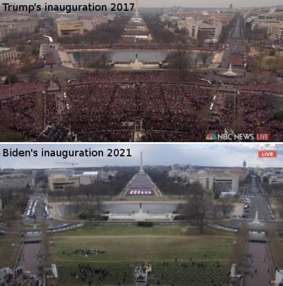 81 Million votes.