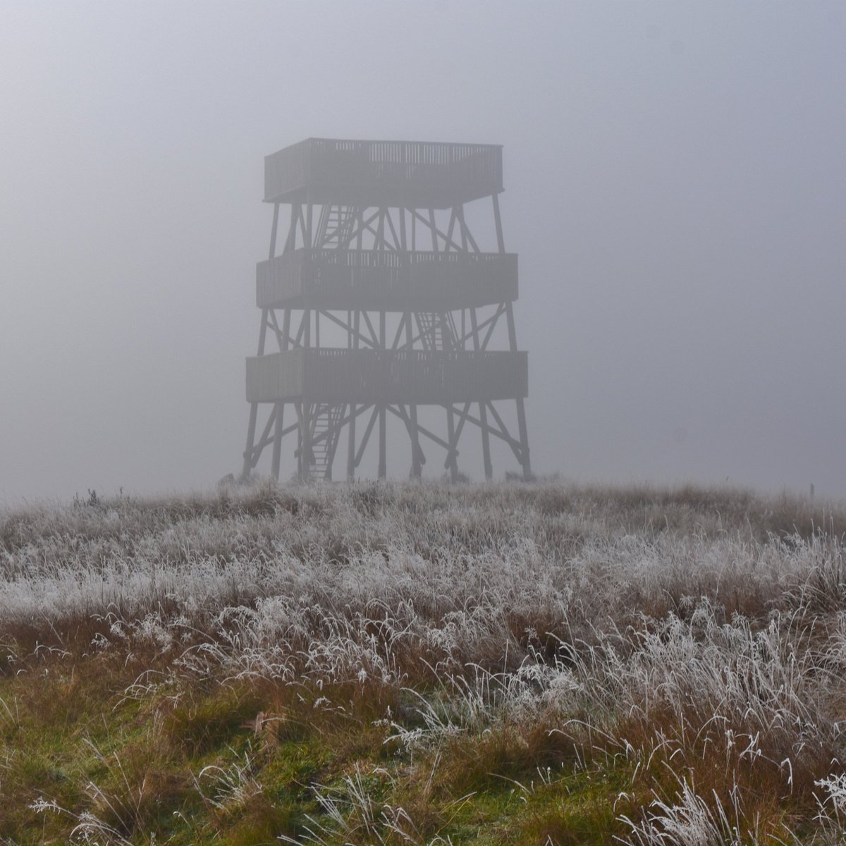 De uikijktoren op het Aekingerzand vanmorgen in de mist. 
#staatsbosbeheer #aekingerzand
