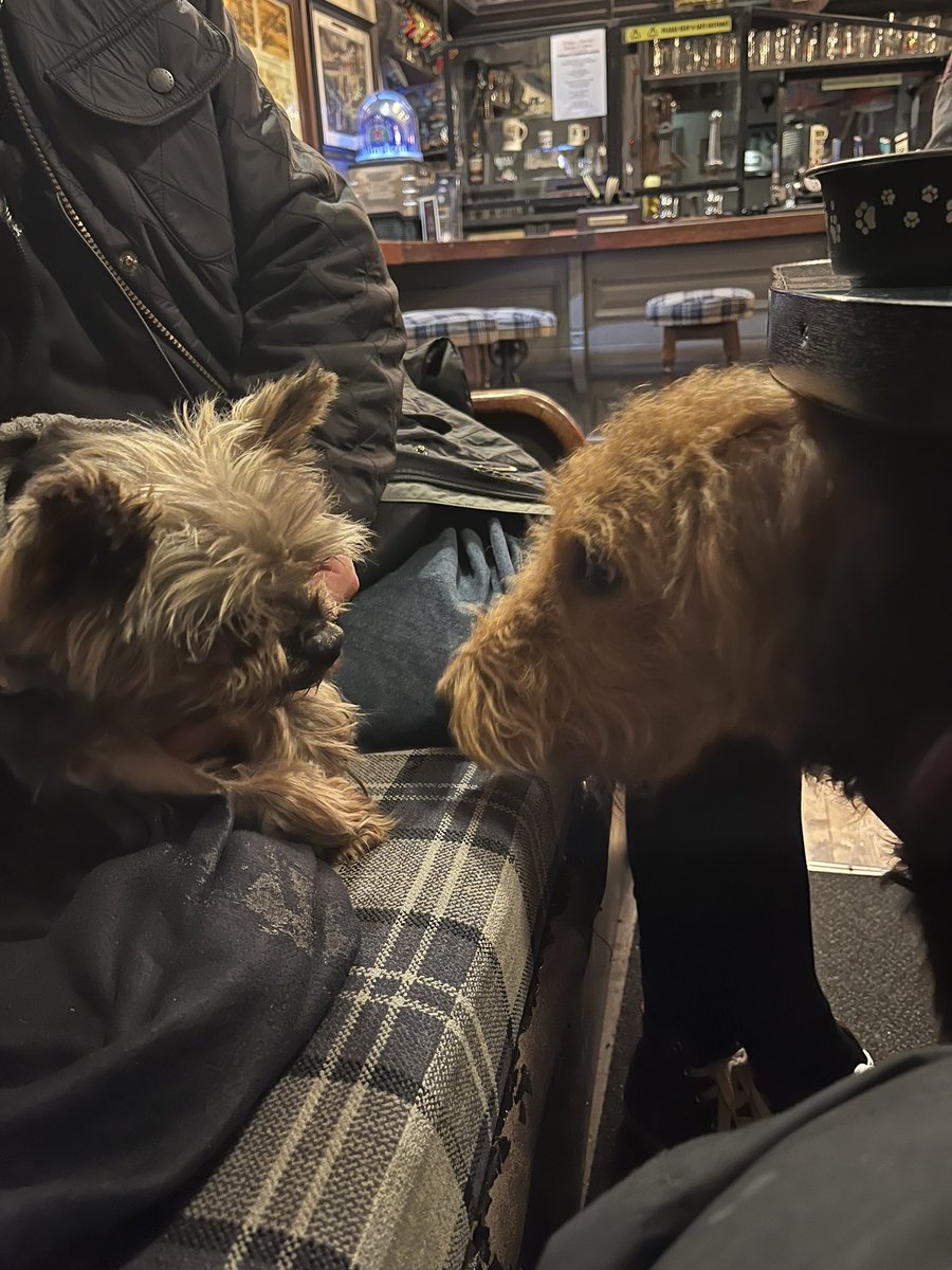 Cousins meeting for the first time #TattynTommy