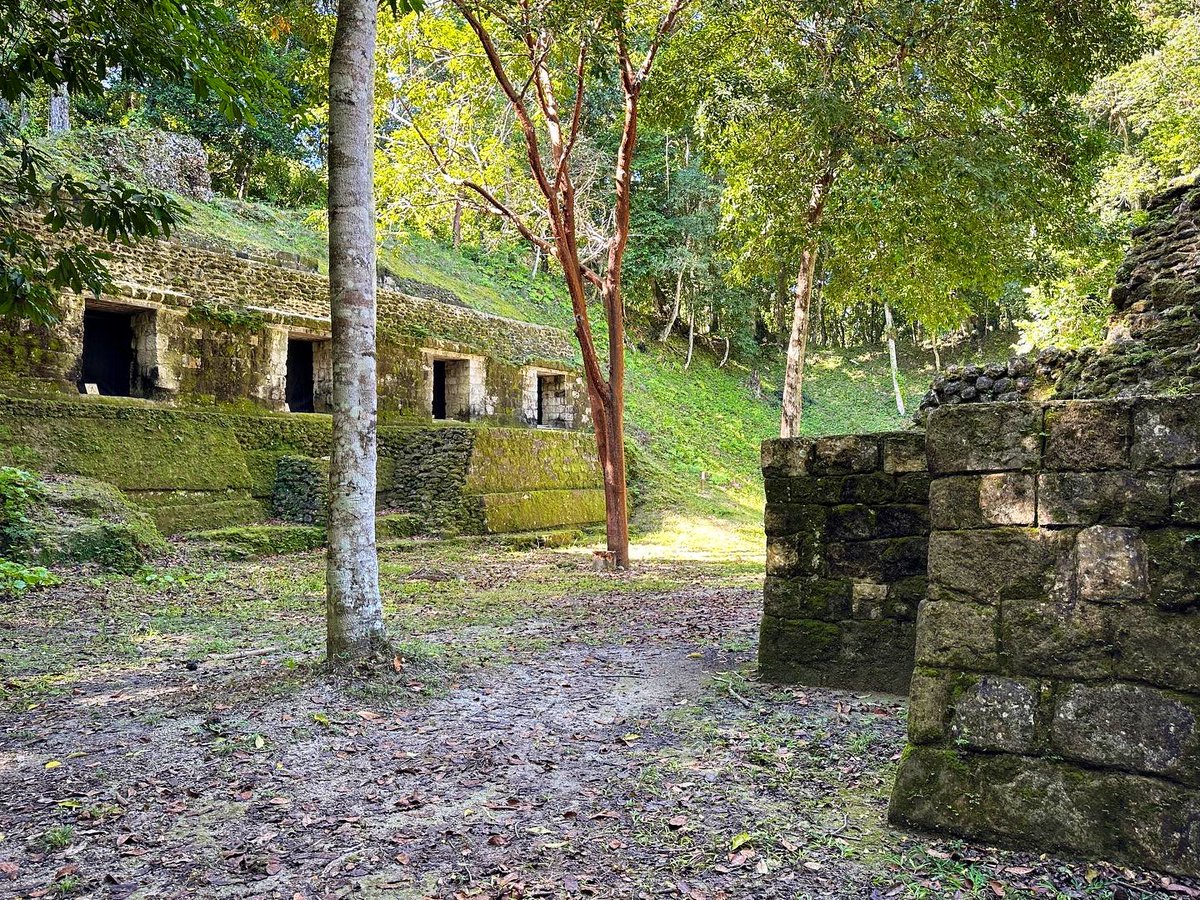 RoadUnraveled's tweet image. You might not have heard about Yaxhá, but it’s one of the most significant archaeological sites in Guatemala. We had a great time visiting this morning! 🇬🇹 

#travel #whereiexplore @lindbladexp